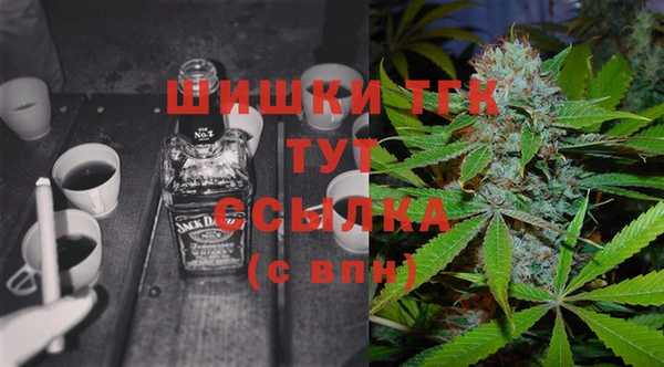винт Костерёво