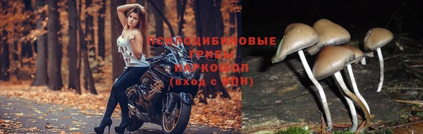 герыч Корсаков